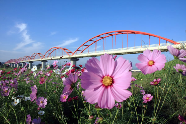 日本一長い水管橋