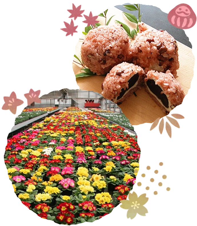 花といがまんじゅう