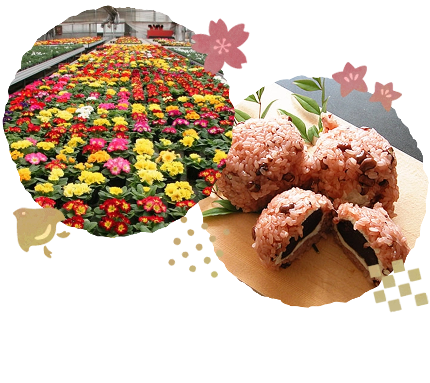 花といがまんじゅう